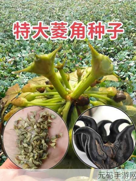 种子搜:当然可以!请提供一个种子标题,我将根据它拓展出新的标题。