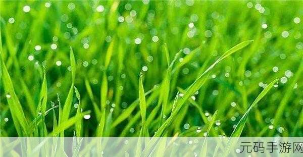 嫩草影视公司:1. 嫩草影视:探索年轻视角的无限可能