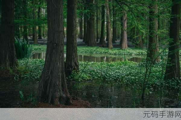 微博绿洲小森林入口揭秘，轻松进入绿洲小森林的详尽指南