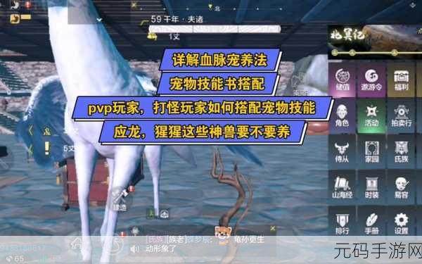 妄想山海小阿鼓全新技能解析与战斗实力剖析