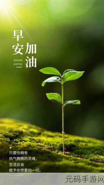 爱发电:1. 爱发电:点亮生活的无限可能