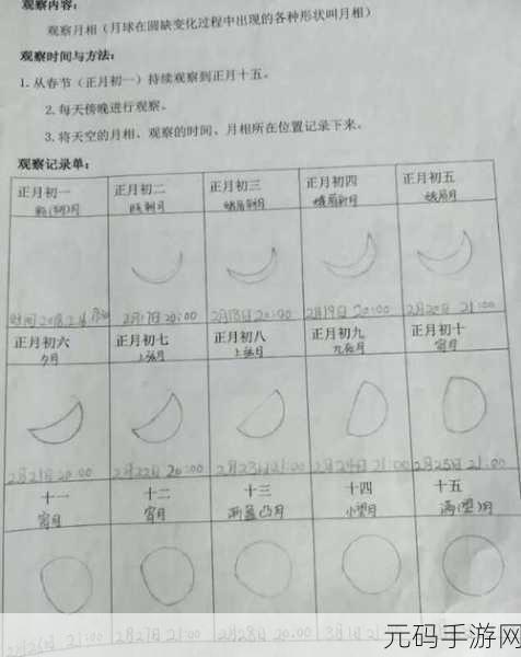 探秘新月同行,科学取样成就获取秘籍