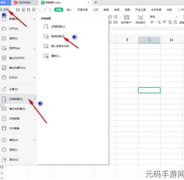手游资讯,WPS表格复制信息至飞信变图片现象解析