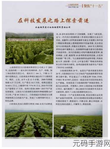 91精产国品产区区别:1. 91精产国品:不同产区的特色与风味分析