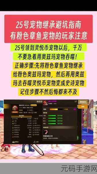 DNF 阿拉德厨师宠物 惊艳亮相!外观属性全解析