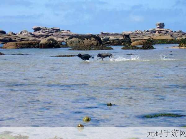 亚洲一卡二卡三卡:1. 亚洲一卡二卡三卡:探索多元文化之旅