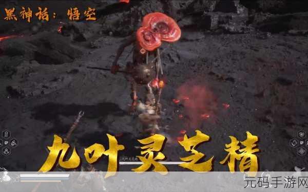 手游资讯,揭秘黑神话悟空中的树珍珠与灵芝的神奇效果