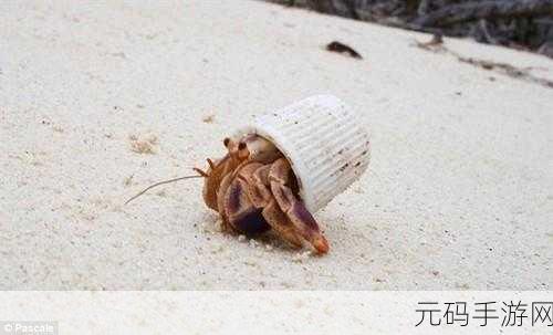 幻塔寄居蟹，探索海滩的美味与实用