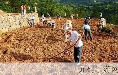 开垦老师肥沃的土地:1. 开垦肥沃的土地,创造无限可能