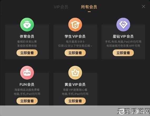 解读 B 站年度小会员,含义与特权全知道