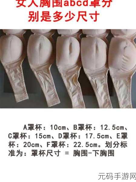 15cm是个什么档次:1. 15cm:探讨这一尺寸的实用与美学