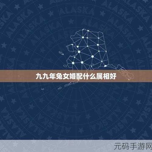 91小巨:1. 91小巨的成长历程与未来展望