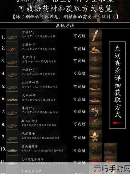 探秘黑神话悟空,不净精魄获取秘籍大公开