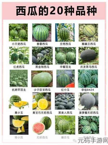 17cgc吃瓜：1. 【17cgc吃瓜】揭秘网络热点背后的真相与趣闻