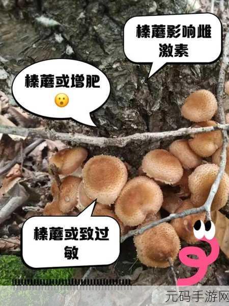大蘑菇进入子宫的10个原因:1. 探索大蘑菇对女性生殖健康的潜在影响