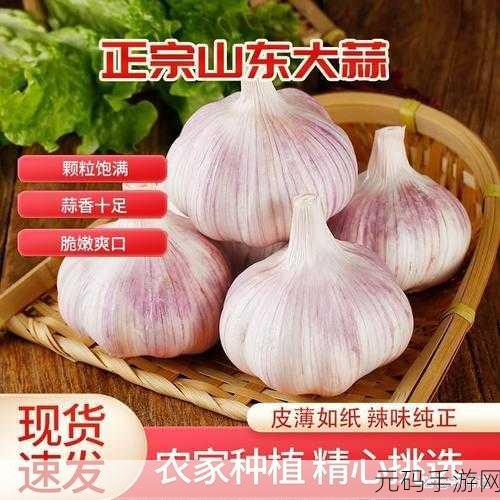 大香煮2024最新版:1. 大香煮新风潮:2024年美食趋势全解析