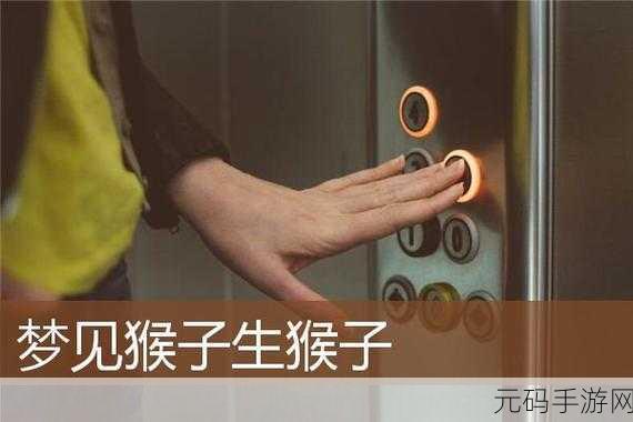 打扑克生猴子软件免费:1. 免费打扑克生猴子软件,让你轻松赢取大奖!