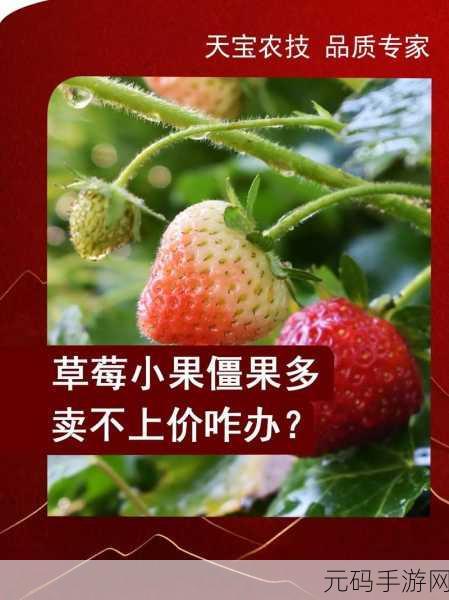 草莓视频完整版在线观看:1. 草莓视频完整版:畅享高清视听盛宴