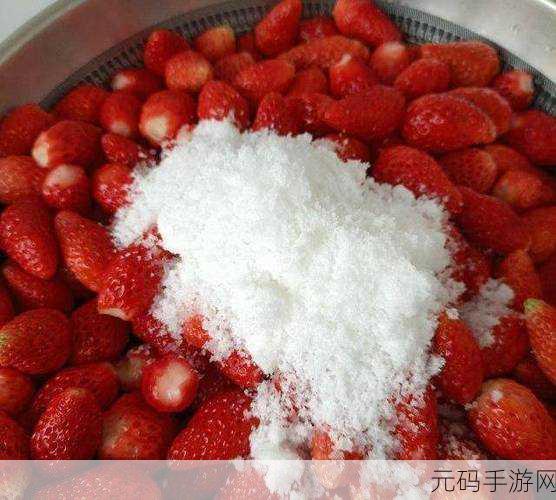 草莓无码视频:1. 草莓的美味秘密:如何挑选和保存