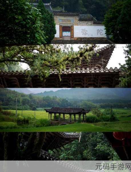 探秘归龙潮中浦城区 福鼠藏身之处全揭秘