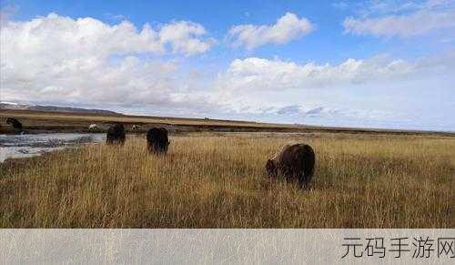 牧场vihaes人与kg：1.探索牧场Vihaes人与kg的协同发展路径