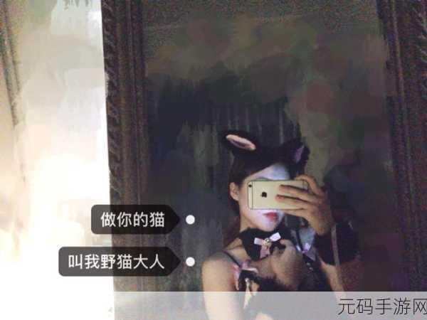 麻豆精品秘 一区二区三区:1. 探寻麻豆精品秘:独特魅力的深度解析