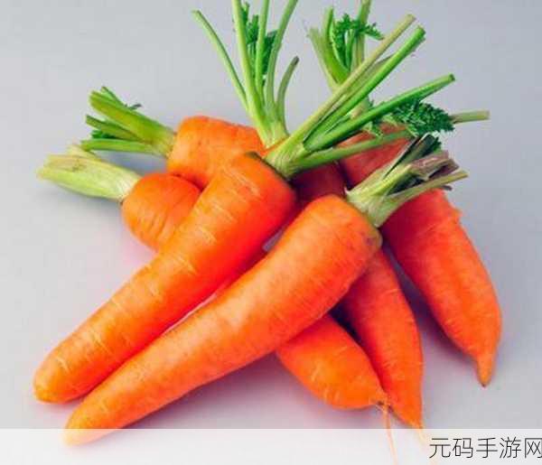 拨胡萝卜不盖被子：1. 拨胡萝卜的乐趣与温暖被子的秘密
