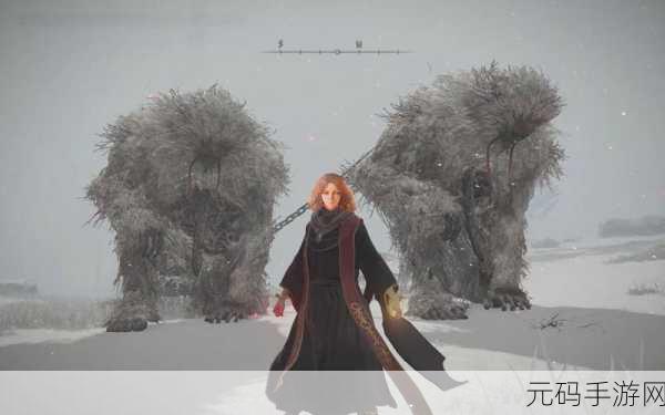 手游资讯,探索艾尔登法环化圣雪原的奇幻之旅