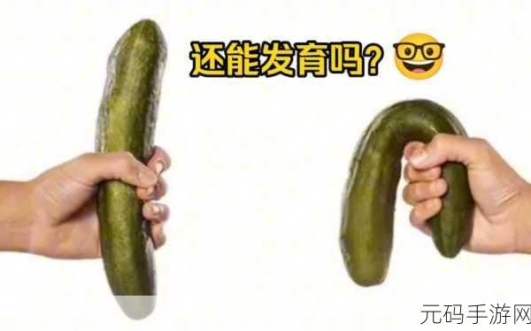 坤坤和桃子:好的,这里有一些基于“坤坤和桃子”的新标题建议: