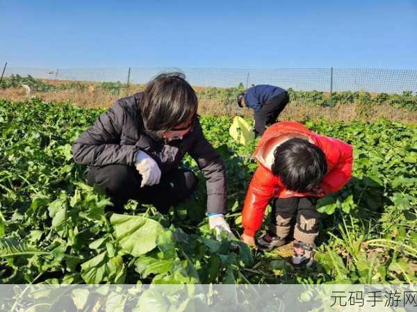 两个人在一起拨萝卜的软件：1. ＂萝卜种植达人：一起耕作的乐趣与挑战