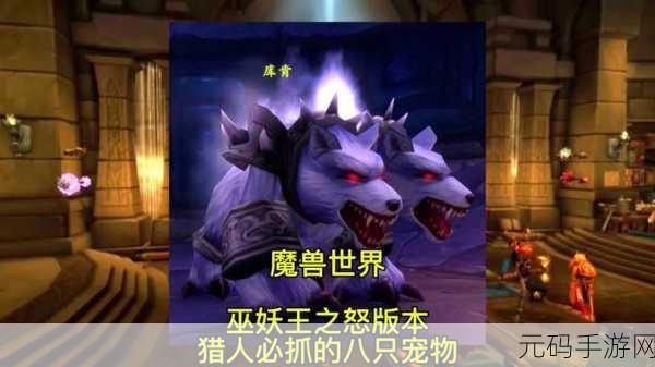 魔兽世界怀旧服巫妖王之怒生存猎人宏:1. 狩猎巫妖王:生存猎人的无尽征途