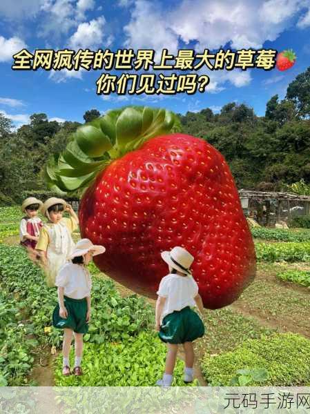 草莓视频懂你更多:1. 草莓视频:了解你的兴趣,发现新世界