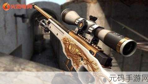 日本csgo大姐姐awp价格表:探索日本CSGO大姐姐AWP价格表背后的市场趋势与收藏价值