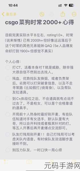 暴躁老姐的csgo心得分享看片:1. "暴躁老姐揭秘:CSGO中的生存与策略