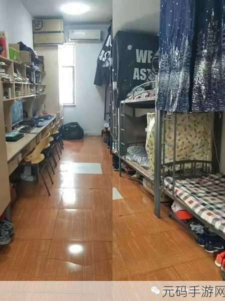 506寝室的灯灭了6朵花第二部分:“506寝室的花朵与光影交错的故事”