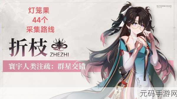 鸣潮白芷武器搭配秘籍,解锁战斗力飙升的终极奥义