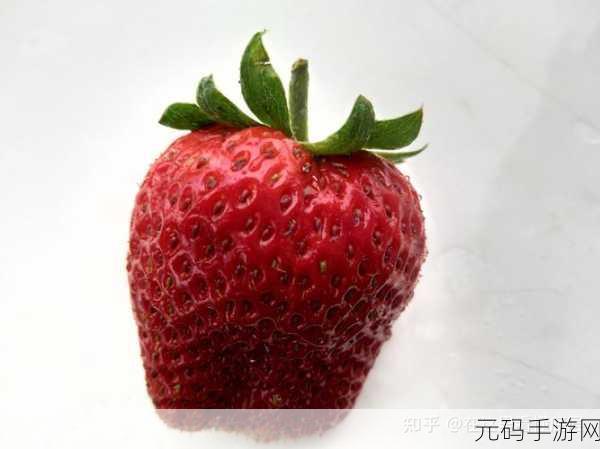 草莓无限观影次数:1. 草莓无限观影:探索影视奇幻之旅