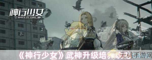 神行少女女武神实力飞升秘籍——培养攻略大揭秘