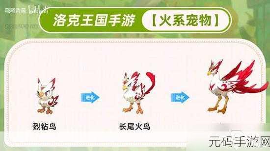 洛克王国魔力猫超进化秘籍大揭秘,手游版本重大更新资讯