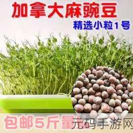 麻豆精产一二三产区：1. ＂探秘麻豆精产一二三产区的独特魅力