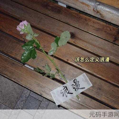小学老师小扫货水多吗:1. 小学老师小扫货的购物经验分享