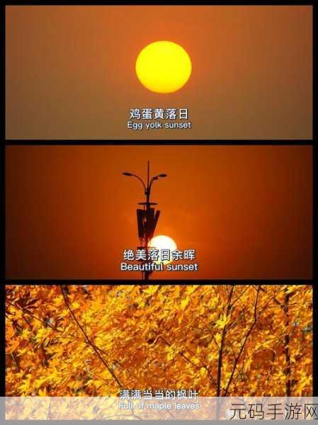 最好看的2018中文中国国语：当然可以，这里有一些基于2018年中文电影的标题扩展的新