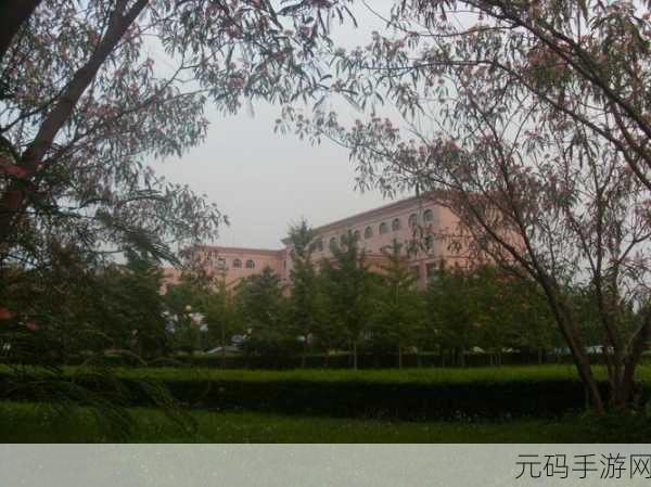 7160香蕉视频:1. 一起探索7160香蕉视频的无限乐趣