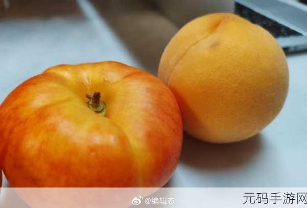 女生的桃子是什么样子的呢:1. 女生的桃子:青春与甜美的象征