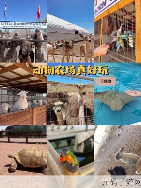 Zoom美国动物农场：1. ＂数字时代的动物农场：虚拟会议与现实社会的反思