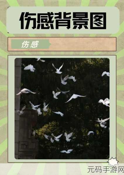 云樱红着脸流眼泪云樱红着脸流眼泪:1. 云樱的泪水:承载着无法言说的心事
