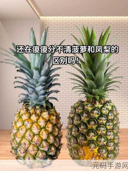 菠萝福建导航：1. 菠萝福建导航：探索美食与旅游的完美结合