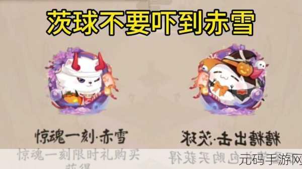 阴阳师妖怪屋茨球,全新协战精灵深度解析与前瞻