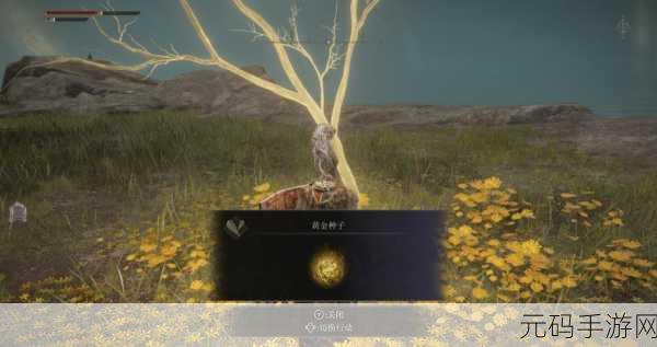 艾尔登法环开局遗物选择指南,助你踏上传奇之旅