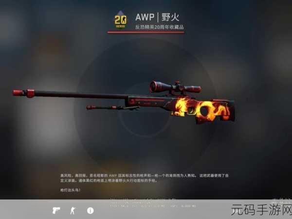 日本csgo大姐姐awp多少钱:1. 日本CSGO大姐姐AWP:价格揭秘与游戏技巧